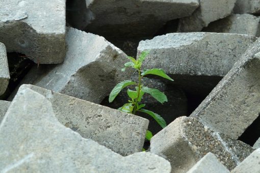 Les blocs de béton creux : une innovation structurelle pour des constructions solides
