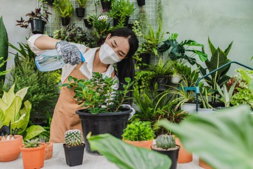 Jardin d’intérieur : comment créer un coin de paradis végétal dans votre maison