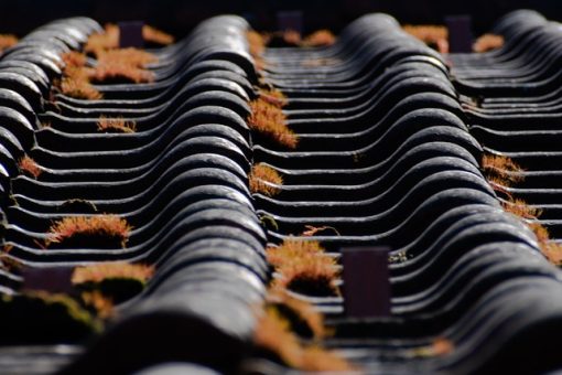 Nettoyage toiture : la clé pour une maison saine et valorisée