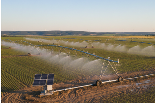 Système d&rsquo;irrigation : l&rsquo;installation qui économise l&rsquo;eau de votre jardin