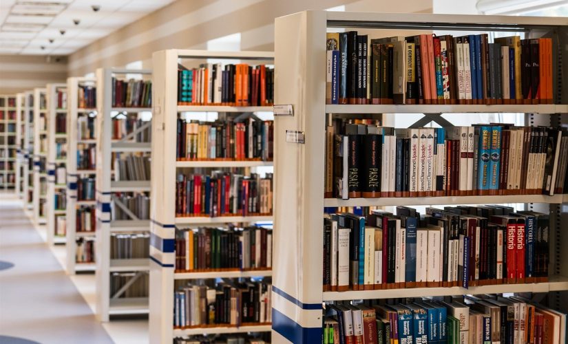 Bibliothèque intégrée : optimisez votre petit espace