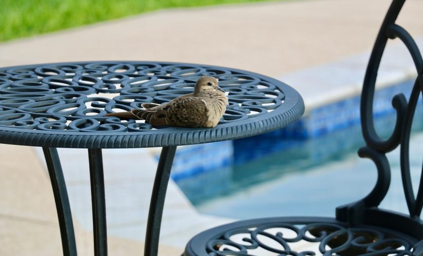 Comment protéger son mobilier de terrasse durant l&rsquo;hiver ?