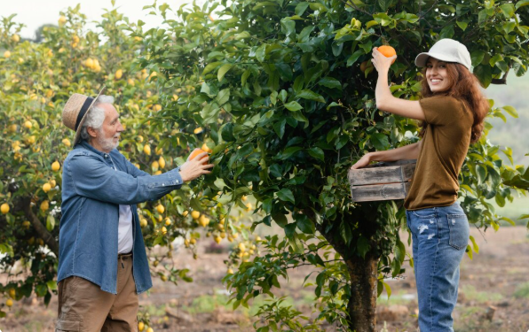 Transformez votre extérieur en un paradis de fruits frais