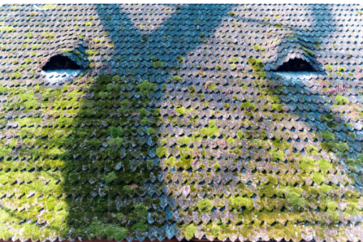 Investir dans un produit préventif : calcul de rentabilité