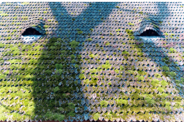 Investir dans un produit préventif : calcul de rentabilité