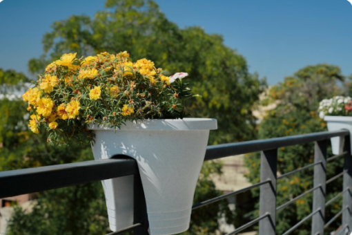 Aménager un balcon en ville : les contraintes à connaître