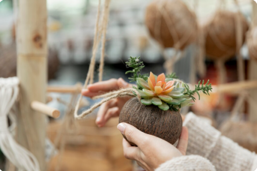 L&rsquo;histoire fascinante du kokedama, cette sphère de mousse venue du Japon