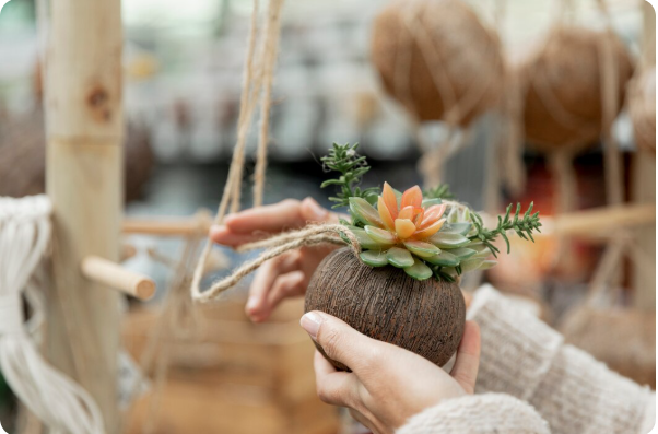 L&rsquo;histoire fascinante du kokedama, cette sphère de mousse venue du Japon