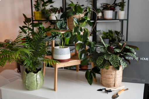 La jardinière d&rsquo;intérieur, la bonne idée pour végétaliser son salon