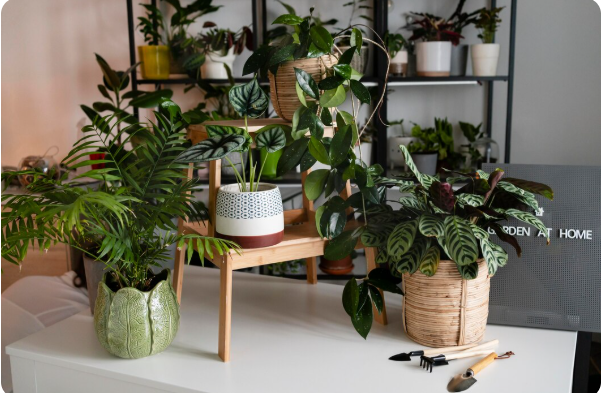 La jardinière d&rsquo;intérieur, la bonne idée pour végétaliser son salon