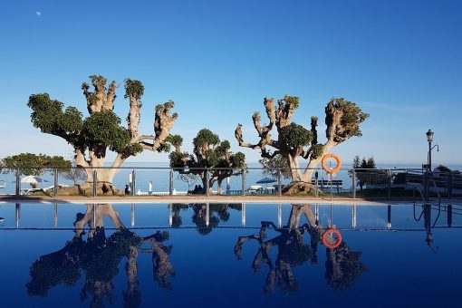 Piscine miroir face au maquis : les finitions qui font la différence