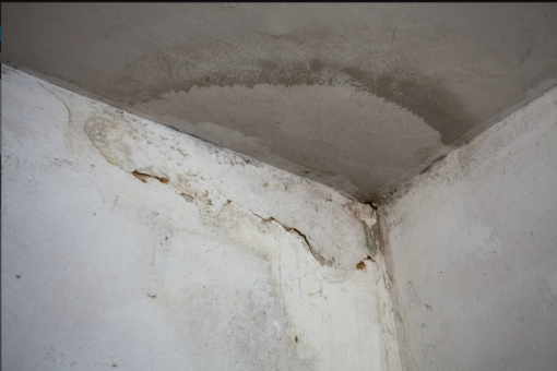 Fissures, moisissures, taches : quand faut-il vraiment appeler un peintre en bâtiment ?