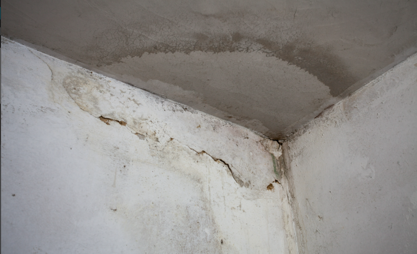 Fissures, moisissures, taches : quand faut-il vraiment appeler un peintre en bâtiment ?